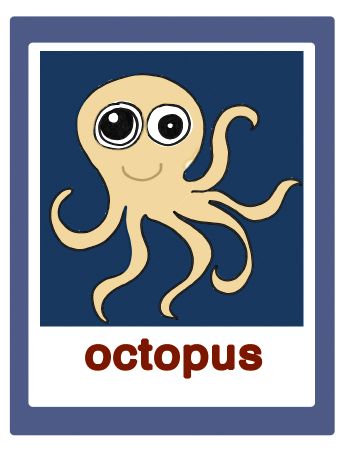 Octopus-polipo