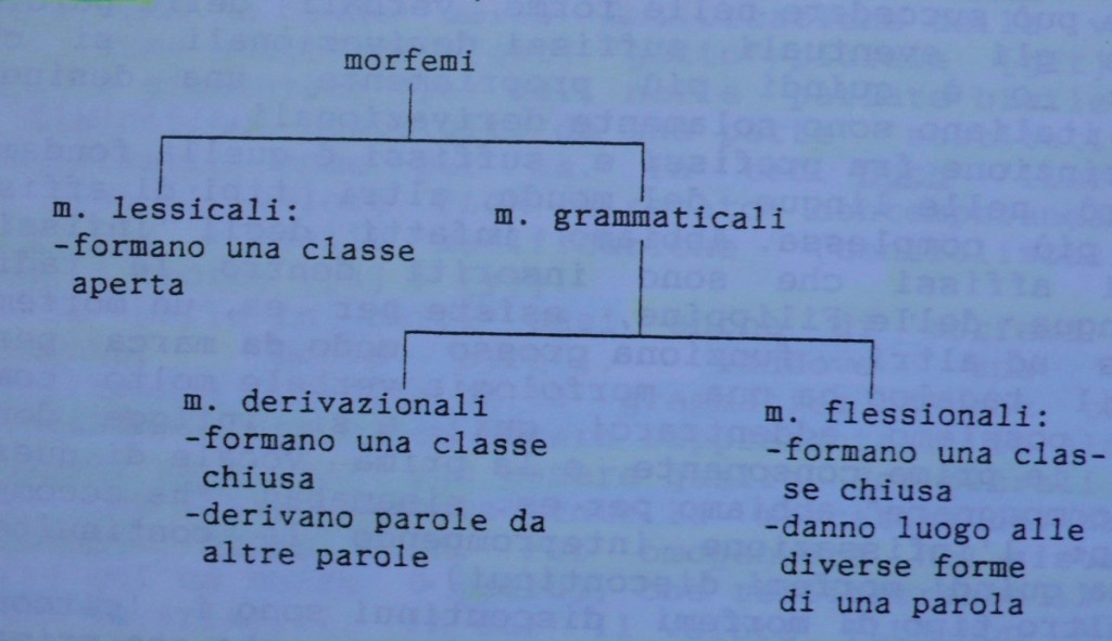 Schema di Gaetano Berruto sui morfemi