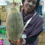 Una donna mostra il frutto del baobab