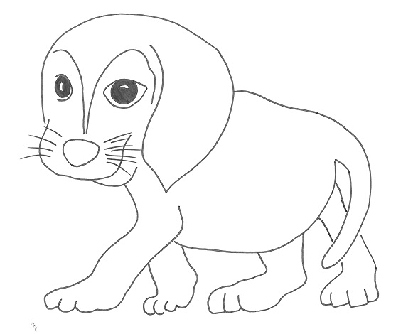 Cagnolino beagle