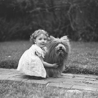 Amicizia tra bambia e cane