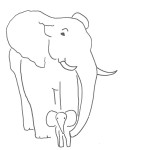 L'elefantessa e il suo elefantino