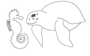 Tartaruga e cavalluccio marino