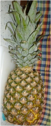 Come preparare l'ananas