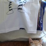 Due gatti e una maglietta