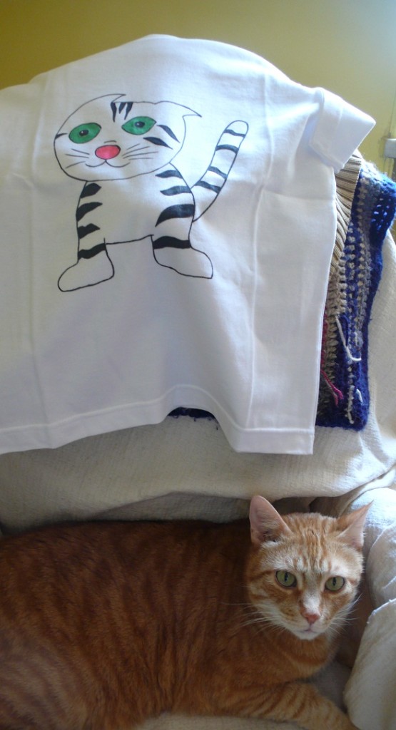 Due gatti e una maglietta