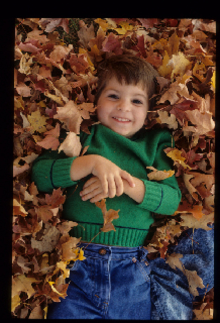 Bambino tra le foglie