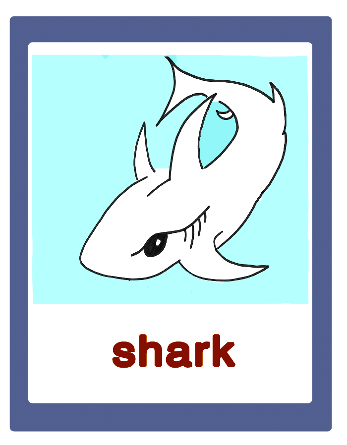 Shark-squalo