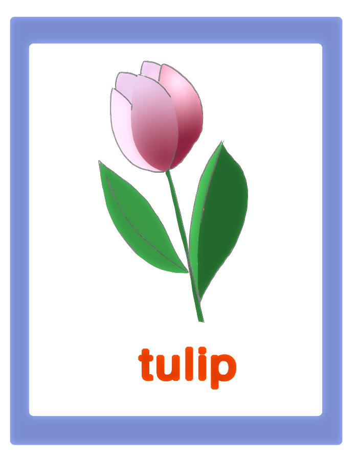 Carta tulipano - tulip