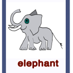 Elephant-elefante