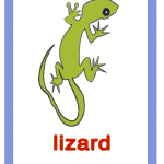 Lizard-lucertola