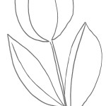 Disegno di un tulipano