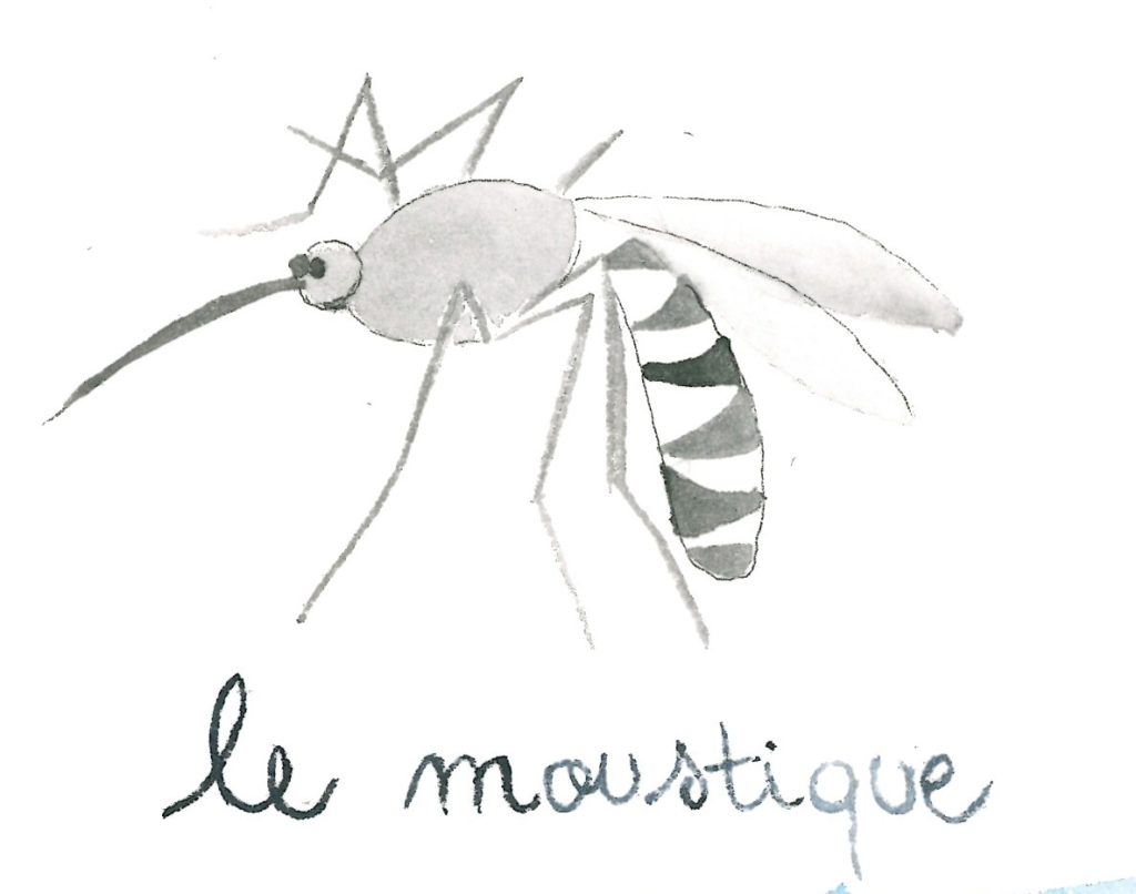 le-moustique